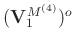 $(\mathbf{V}_1^{M^{(4)}})^{o}$