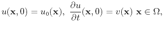 $\displaystyle u({\bf x},0) = u_0({\bf x}),  \frac{\partial u}{\partial t}({\bf x},0) =
v({\bf x})   {\bf x}\in \Omega,
$
