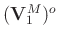 $(\mathbf{V}_1^M)^{o}$