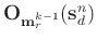 $\mathbf{O}_{\mathbf{m}_r^{k-1}}(\mathbf{s}_{d}^{n})$