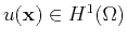 $ u(\mathbf{x}) \in H^1(\Omega)$